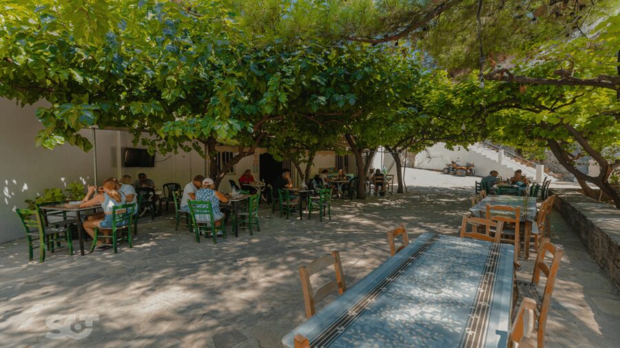 Makrigialos-Ierapetra: Hidden Villages & Olive Oil Farm Tour - Practical advice for a comfortable day