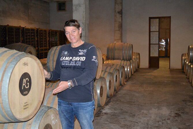 Mallorca Bodega & Olive Minibus Tour incl. Pick-up South Coast - The bodega and Mallorca’s wine story