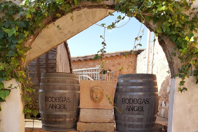 Mallorca Bodega & Olive Minibus Tour incl. Pick-up South Coast - A 9:30 a.m. pickup and a six-hour day