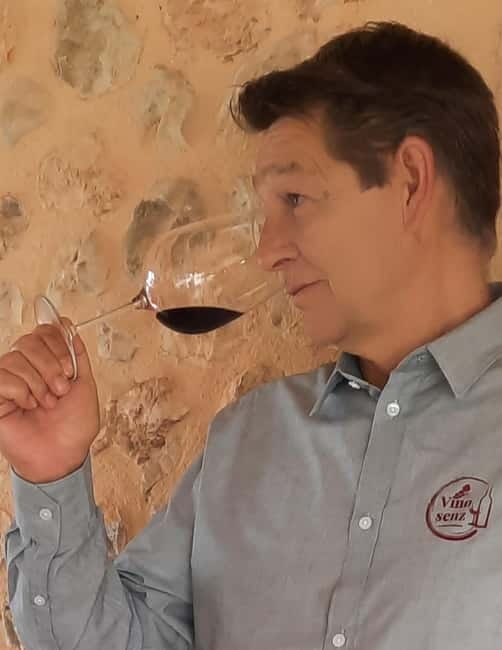 Mallorca: Bodega & Olives Minibustour with wine/oil tasting - What the tasting is really worth at $152