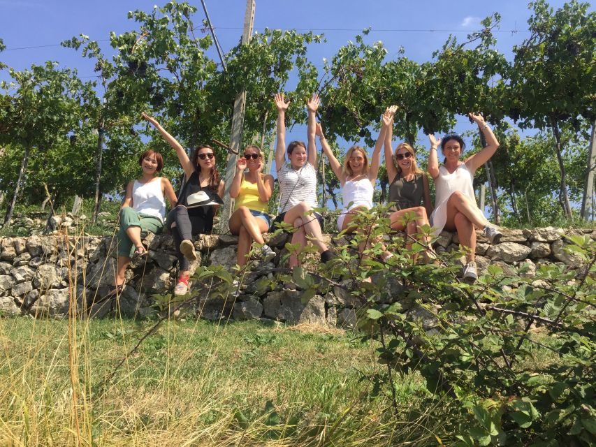 Marano di Valpolicella: DOP Olive Oil Tasting Experience - A countryside introduction at Tenuta Santa Maria Valverde