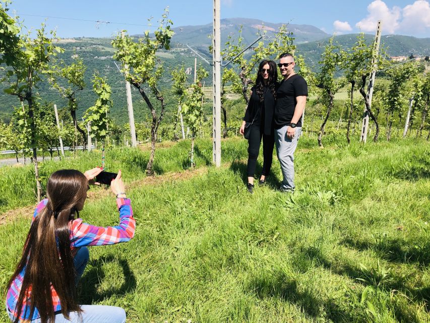 Marano di Valpolicella: DOP Olive Oil Tasting Experience - Seeing where the oil is collected