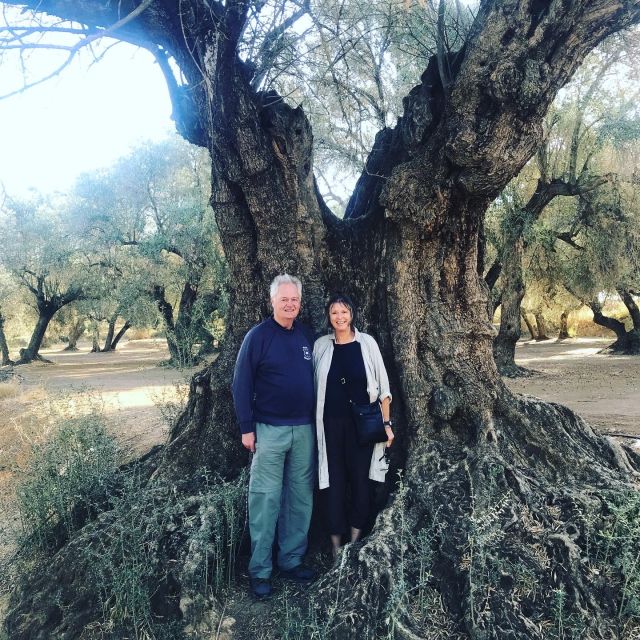 Midday Olive Oil Tour and Visit to Old Town of Belchite - Timing, clothing, and practical details