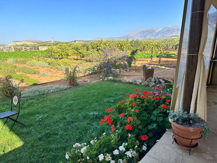 Moires: Cooking Class and Olive Oil Tasting at a Family Farm - Who should book this class