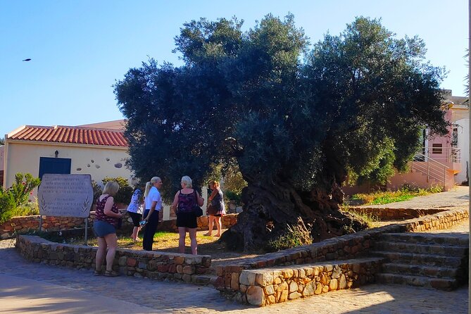 Monastery - Ancient Olive tree & Museum-Cretan Brewery Private Tour from Chania - Who should book this Chania tour?