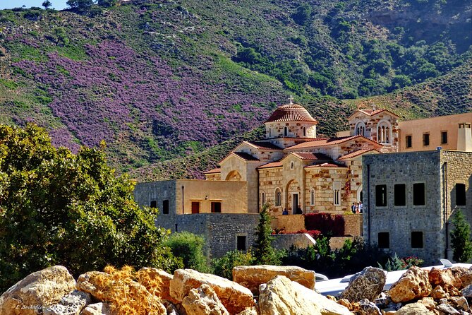 Monastery - Ancient Olive tree & Museum-Cretan Brewery Private Tour from Chania - Vouves and the olive tree that still produces fruit