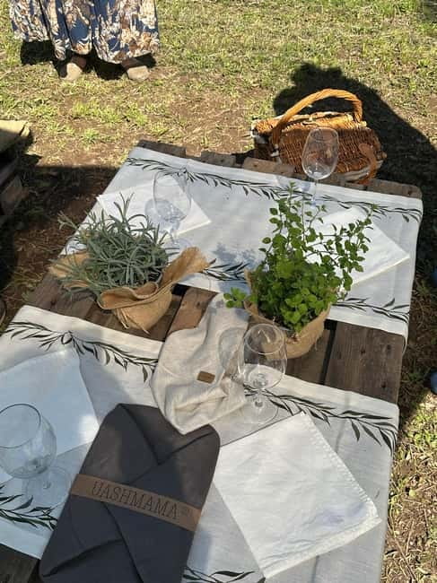 Montecatini Alto: Gourmet picnic among the olive trees with EVO oil pairing - Tuscan wine and olive-leaf tea