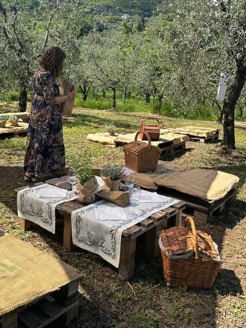 Montecatini Alto: Gourmet picnic among the olive trees with EVO oil pairing - The picnic under the trees