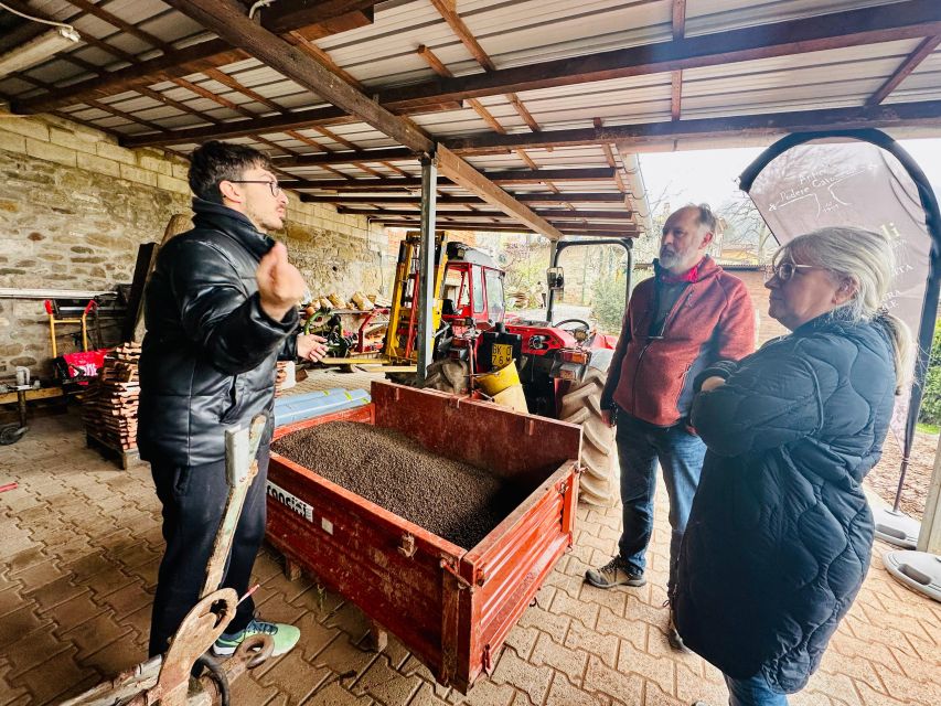 Montecatini Terme: Olive Grove Tour with Oil Tasting - What the guides add to the experience
