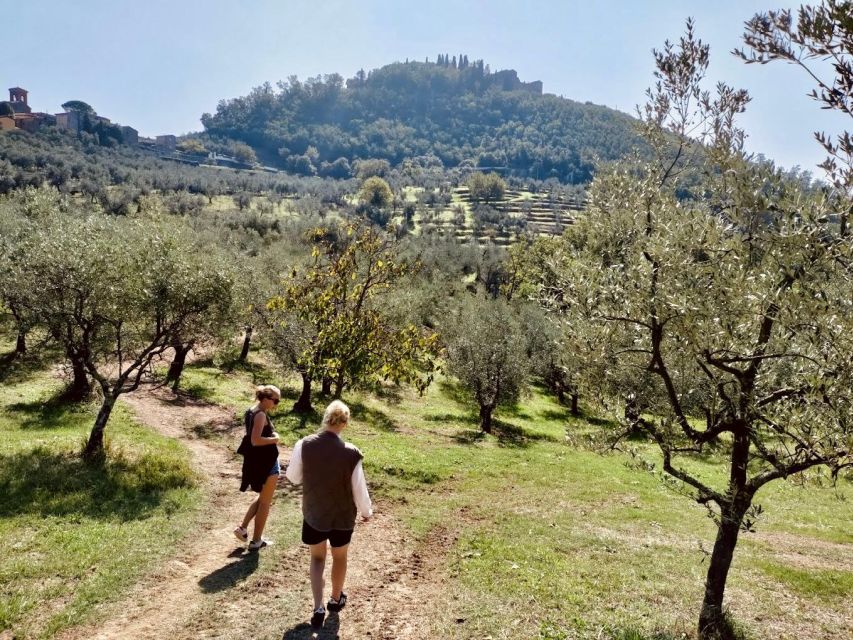 Montecatini Terme: Olive Grove Tour with Oil Tasting - Arriving at Podere Cavozzoli above Montecatini
