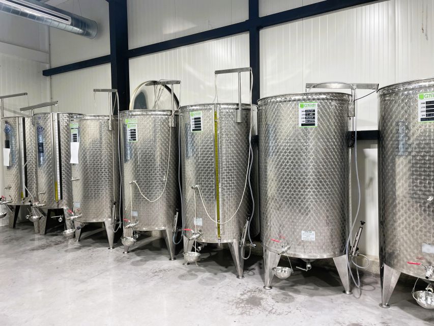 Montpellier : Visit lavender field and an Olive Oil Mill - Tasting local olive oil without the fuss