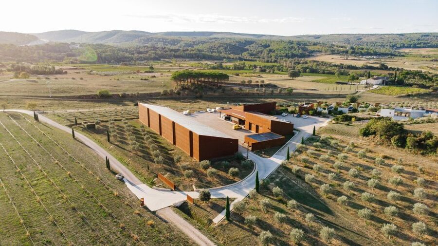 Montpellier : Visit lavender field and an Olive Oil Mill - FAQ