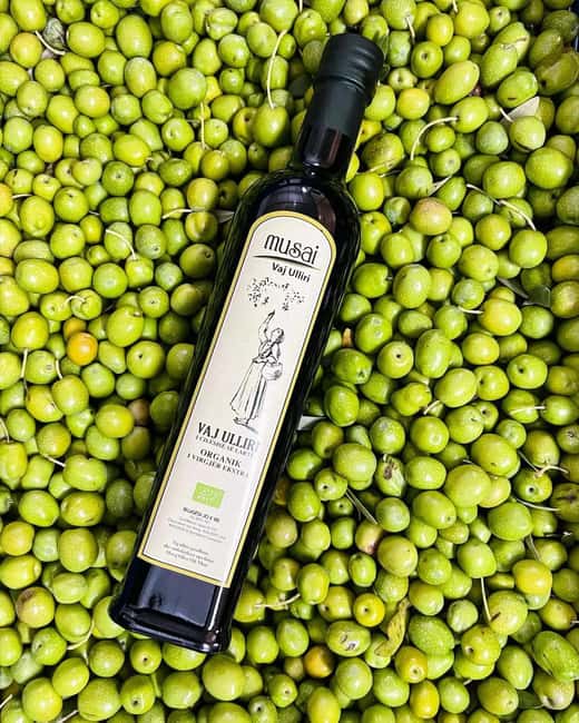 Musai Olive Oil Tour and Tasting - The lift down to the fresh oil tanks
