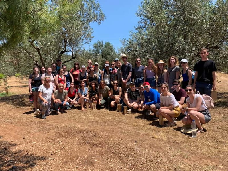 Nafplio: Olive Oil Estate Tour and Tasting - Local snacks and a light lunch