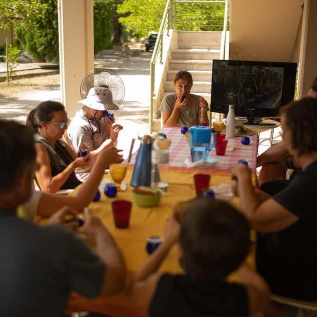 Nafplio: Olive Oil Estate Tour and Tasting - Practical details before booking
