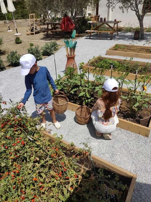 Naxos Town: Olive Oil Tasting & Baking in the Heart of Town - Is $100 per person good value?