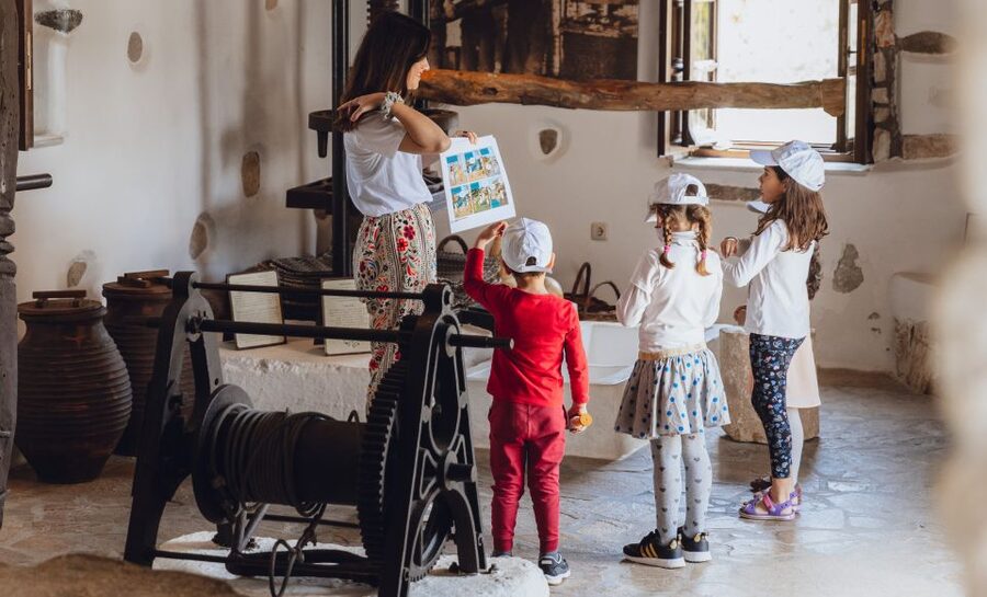 Naxos Town: Olive Oil Tasting & Baking in the Heart of Town - Who will enjoy this most