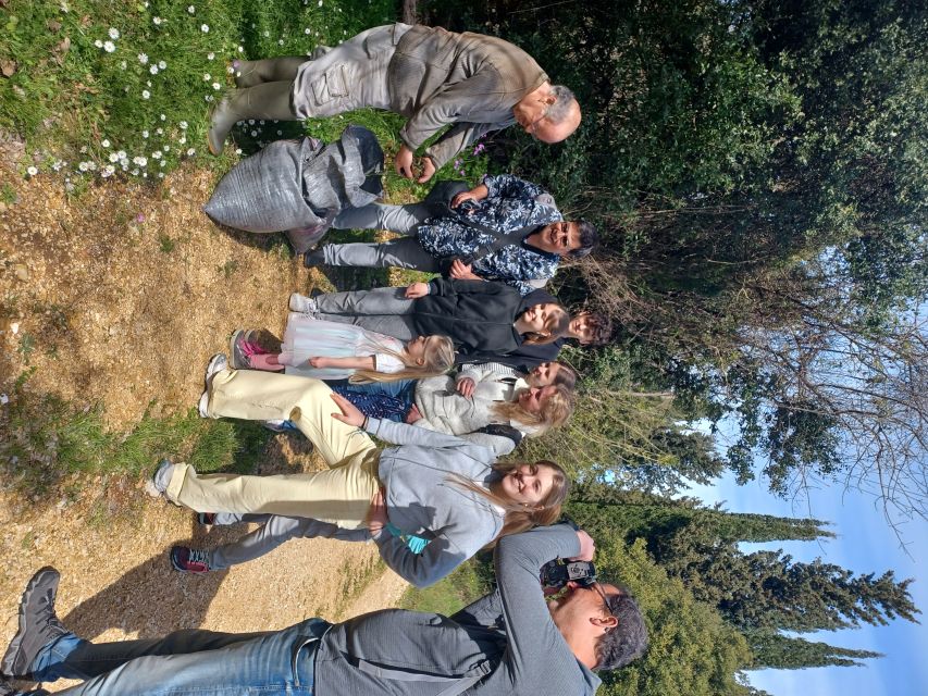 North Corfu: Olive Tour with Olive Oil Tasting and Mezze - Starting in Loutses, 45 minutes from Corfu Town