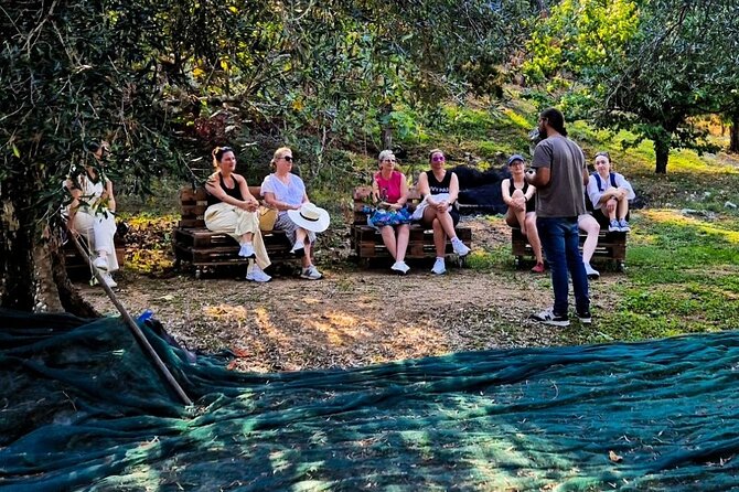 North Corfu Olive Tour With Olive oil Tasting & Meze - Why this olive tour feels different