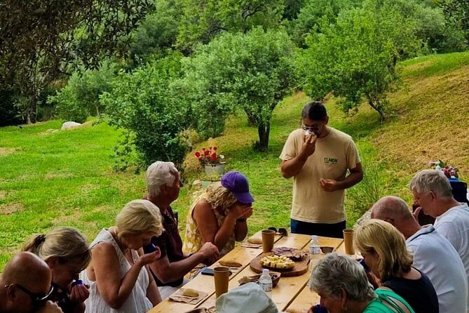 North Corfu Olive Tour With Olive oil Tasting & Meze - Getting to Loutses from Corfu