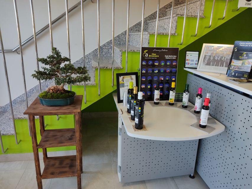 OleoAlmanzora: Guided tour olive groves and EVOO facilities - Is $18 a fair price?