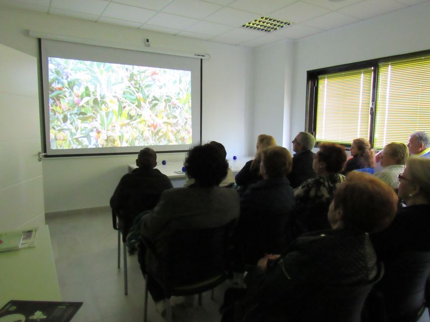 OleoAlmanzora: Guided tour olive groves and EVOO facilities - Who will enjoy this Pulpí experience?