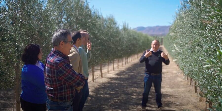 OleoAlmanzora: Guided tour olive groves and EVOO facilities - Inside the cellar and bottling room