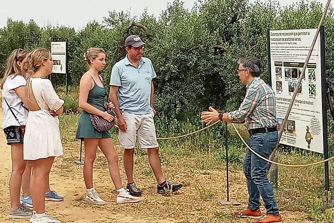 Oleotourism and olive oil tasting in Seville - Private tour - Key points to know before you book
