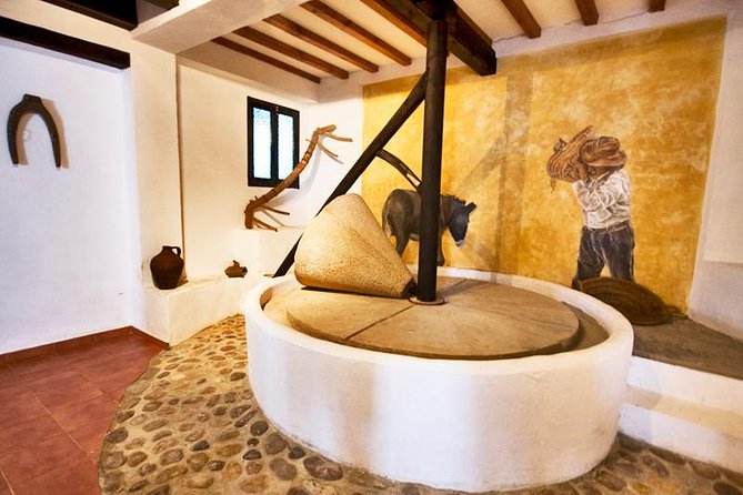 Oleotourism and olive oil tasting in Seville - Private tour - The ride from central Seville