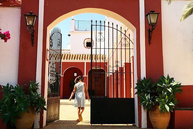 Oleotourism and olive oil tasting in Seville - Private tour - Entering the old mill at Hacienda Guzmán