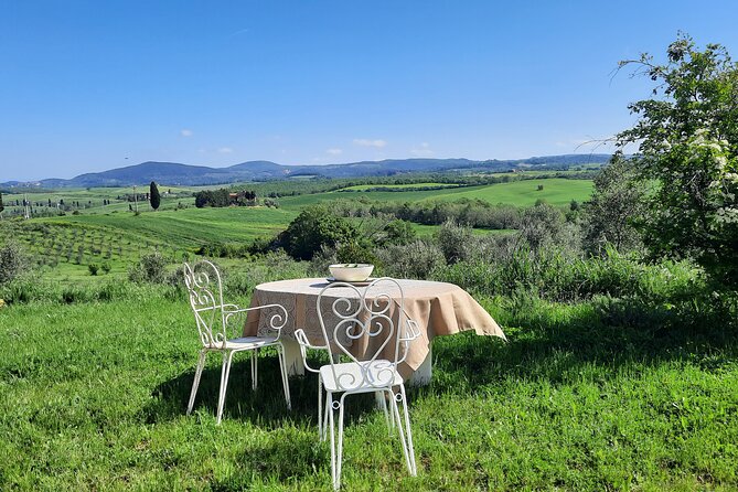 Olive experience Walk among the olive trees with tasting - Key points to know before booking