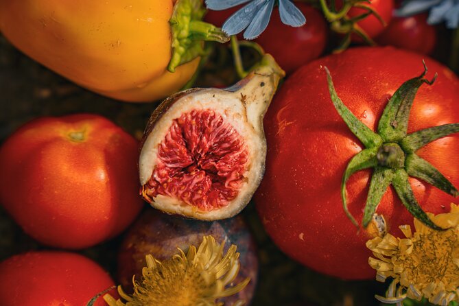 Olive farm & village - Key points at a glance