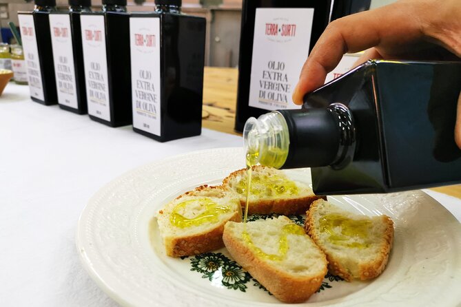 Olive harvest, visit to the oil mill and typical lunch - Is $120.41 a fair price?