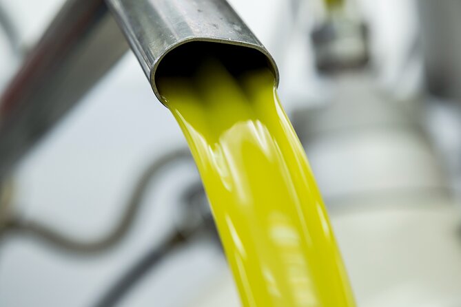 Olive harvest, visit to the oil mill and typical lunch - Getting to Sortino from Syracuse or Catania