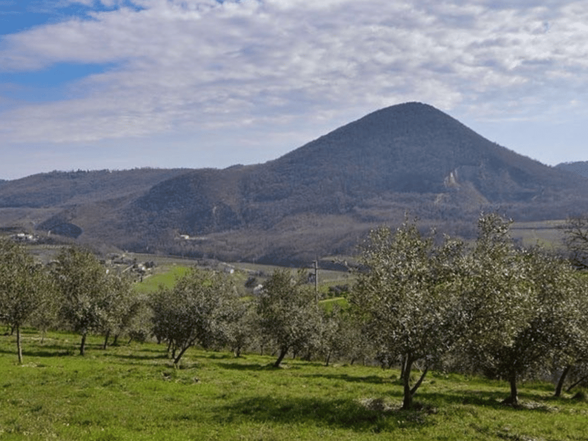 Olive Mill Tour and Tasting in the Padua Hills - Sustainability behind the bottle