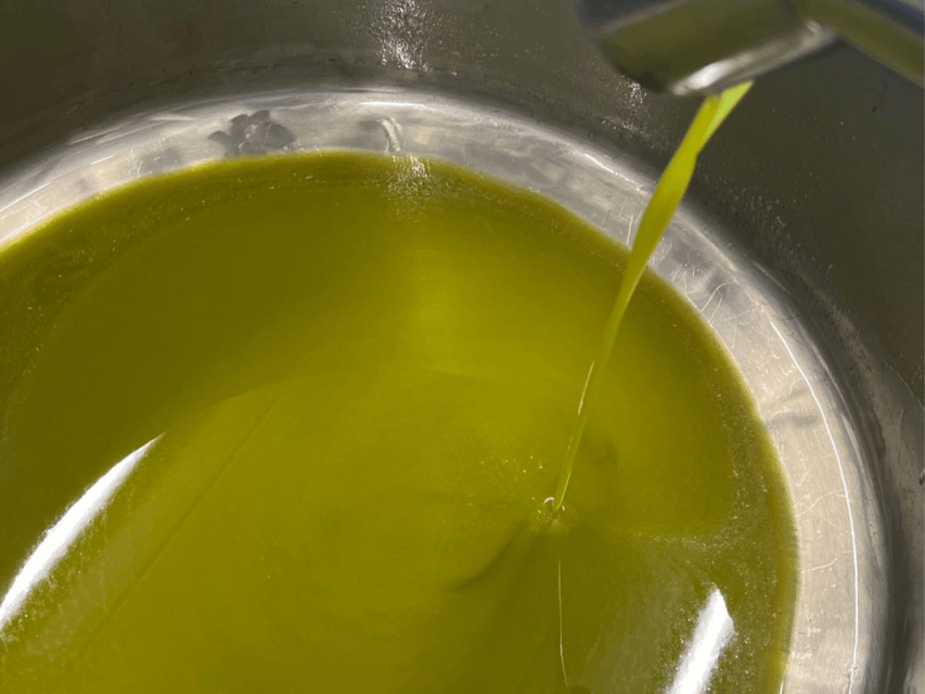 Olive Mill Tour and Tasting in the Padua Hills - Why the olive oil tasting is the real payoff