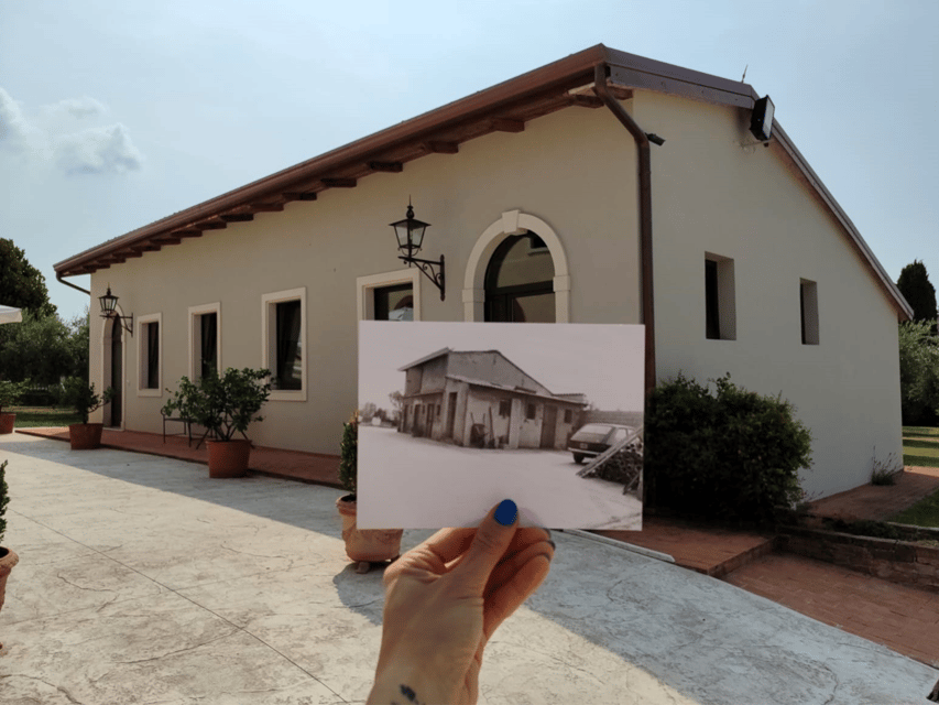 Olive Mill Tour and Tasting in the Verona Countryside - Stepping into the Bonamini family oil museum