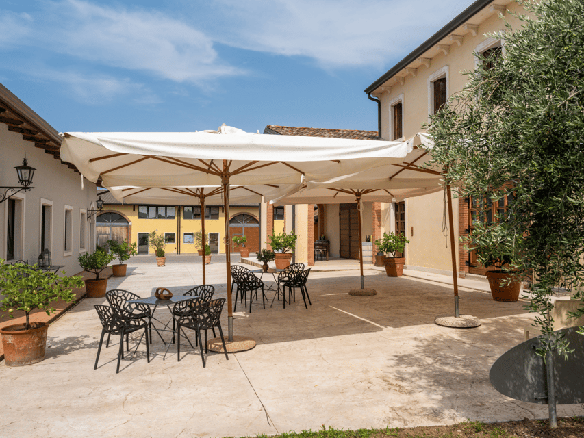 Olive Mill Tour and Tasting in the Verona Countryside - Who will get the most from this $34 experience