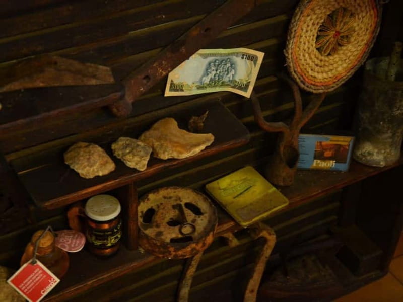 Olive Mill Tour with Oil and Food Tasting in Chianciano - A family atmosphere with mixed pacing