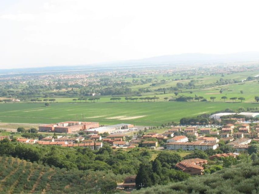 Olive Mill Tour with Oil and Food Tastings near Pisa - Why this small farm visit works near Pisa