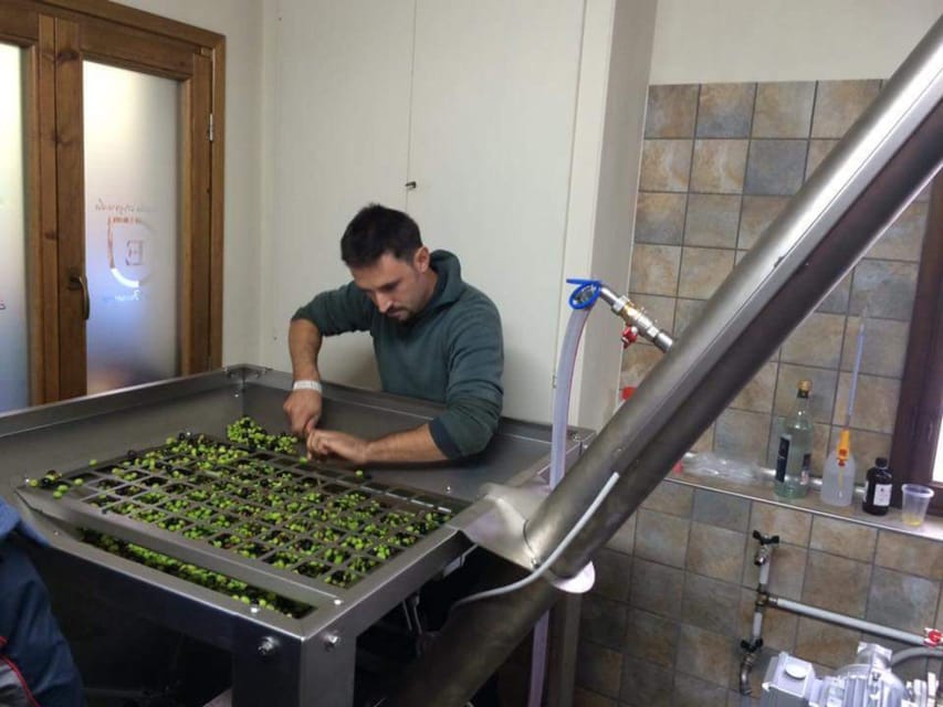 Olive Mill Tour with Oil and Food Tastings near Pisa - Getting to Azienda Agricola Elter Francesco