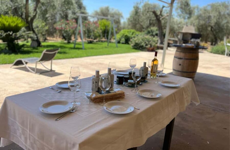 Olive Mill Tour with Olive Oil Tasting in Sassari - Key points to know before you book