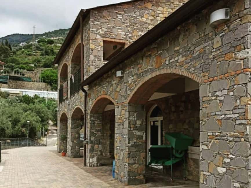 Olive Mill Visit & Guided Tasting in Taggia - Why Taggia is a good place to study olive oil