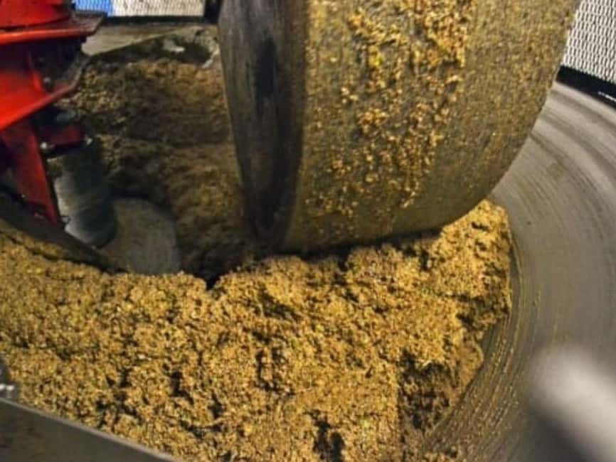 Olive Mill Visit & Guided Tasting in Taggia - The 15-minute shopping session