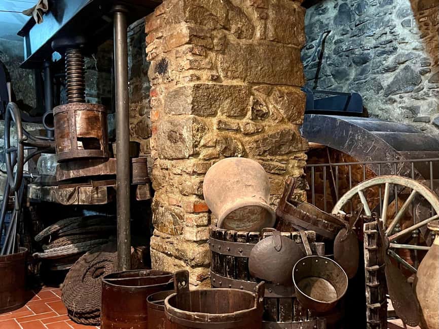 Olive Mill Visit & Guided Tasting in Taggia - What the guide adds to the visit