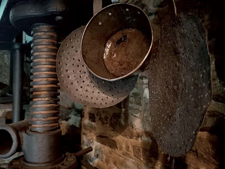 Olive Mill Visit & Guided Tasting in Taggia - Price, timing, and practical value