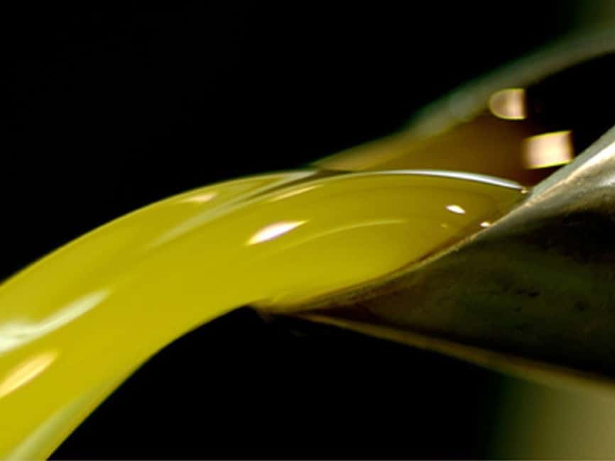 Olive Mill Visit & Guided Tasting in Taggia - Inside the late-1800s olive mill