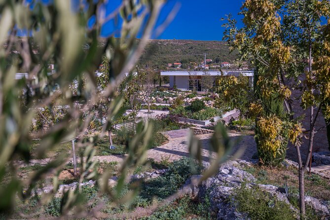 Olive museum Klis with educational olive oil tasting - Behind the scenes at the essential-oil distillery