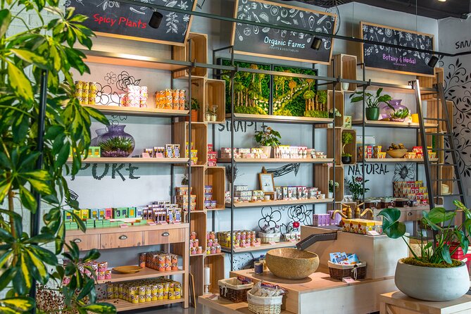 Olive museum Klis with educational olive oil tasting - Price, timing, and the practical details