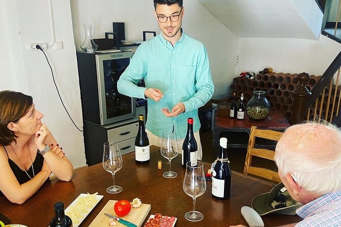 Olive Oil and Winery Tour from Zaragoza City - Is $177.52 a fair price?